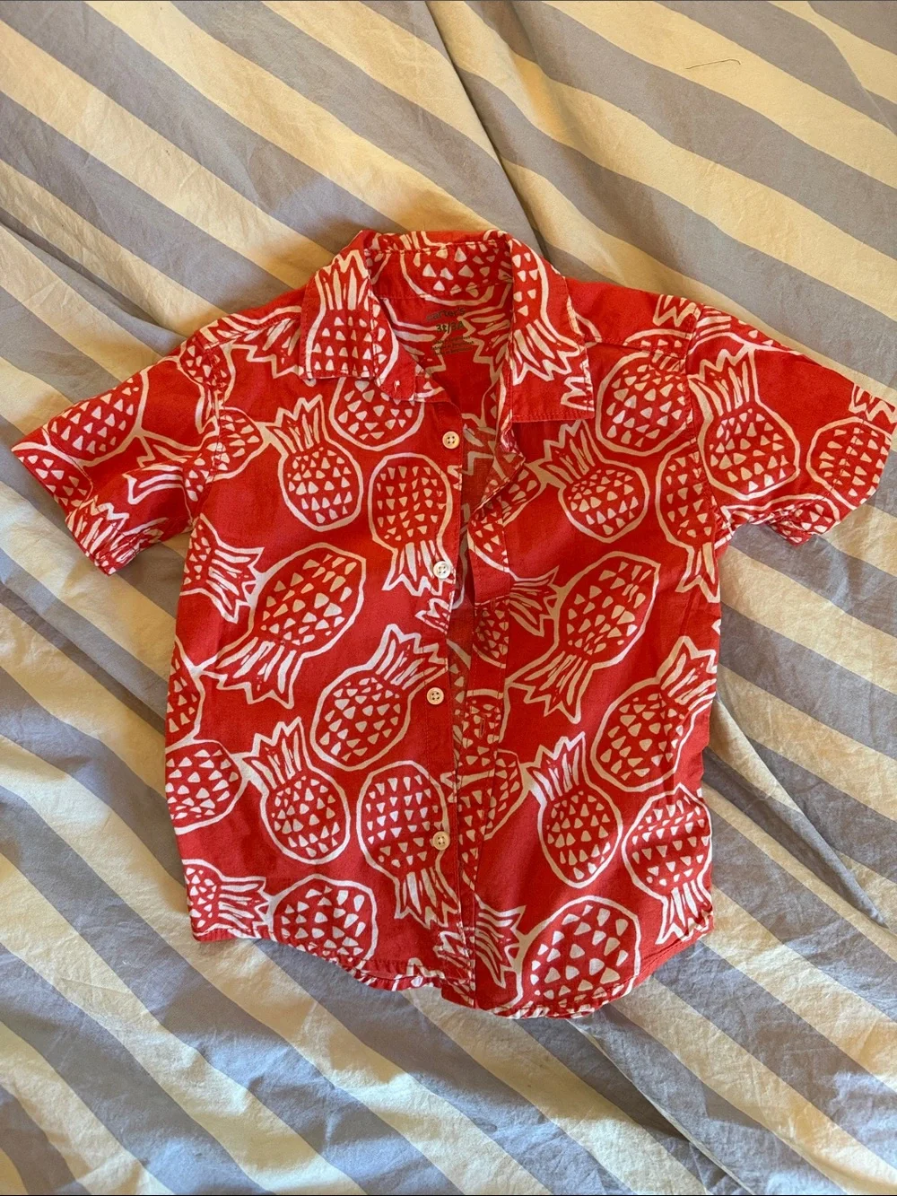 Carter's Red Pineapple Button-Down Shirt